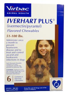 12 MONTH Iverhart Plus For Dogs 51-100 lbs