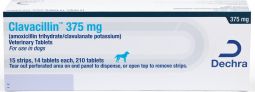 Amoxicillin Clavulanate 375mg PER TAB (Clavacillin)