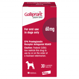 Galliprant Tablets for Dogs 60mg 30 Count