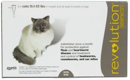 Revolution For Cats 15.1 to 22 lbs (1 Month)