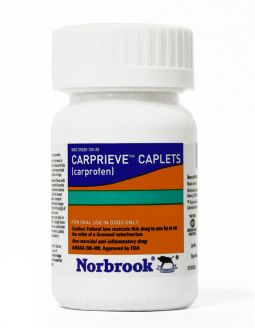 Carprieve 25mg per caplet