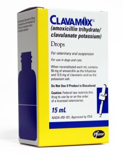 Clavamox Drops 15ml Bottle