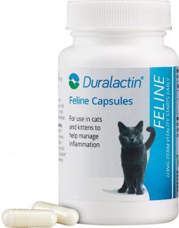 Duralactin Feline Capsules 60 Count