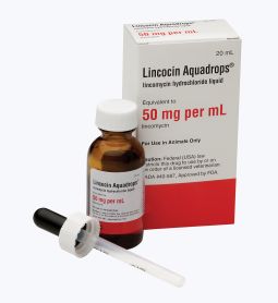 Lincocin Aquadrops 20ml