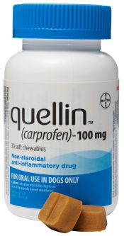 Quellin 100mg 1 Soft Chew