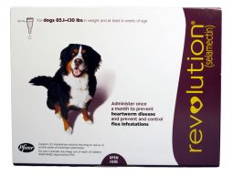 Revolution For Dogs 85.1 to 130 lbs (1 Month)