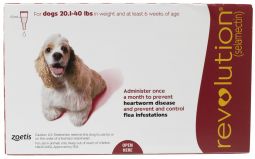 Revolution For Dogs 20.1 to 40 lbs (1 Month)