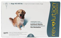 Revolution For Dogs 40.1 to 85 lbs (1 Month)