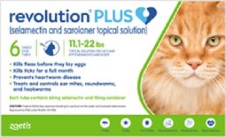 Revolution Plus for Cats 11.1 - 22lbs 6 Month