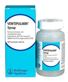 Ventipulmin 100 mL